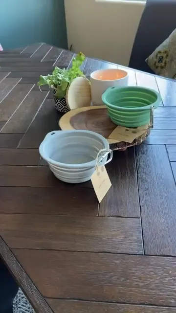 Collapsible Silicone Dog Bowl